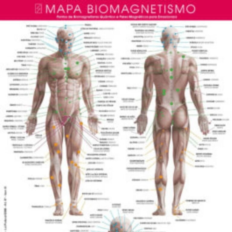 Banner Mapa Biomagnetismo 60×100 cm