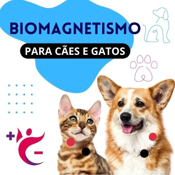 Biomagnetismo Para Cães e Gatos
